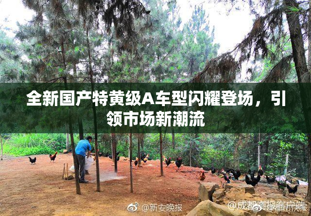 全新国产特黄级A车型闪耀登场，引领市场新潮流