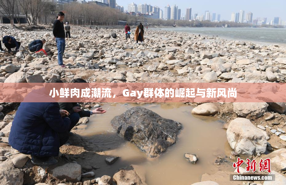 小鲜肉成潮流，Gay群体的崛起与新风尚
