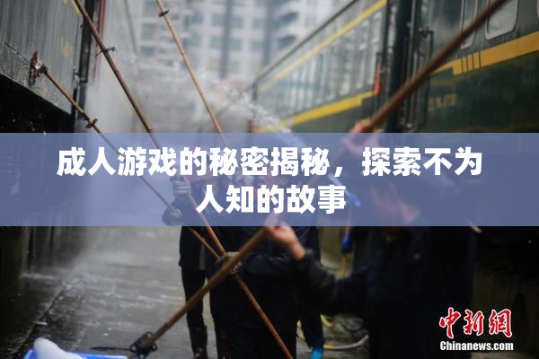 成人游戏的秘密揭秘，探索不为人知的故事