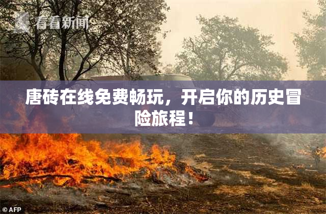 唐砖在线免费畅玩，开启你的历史冒险旅程！