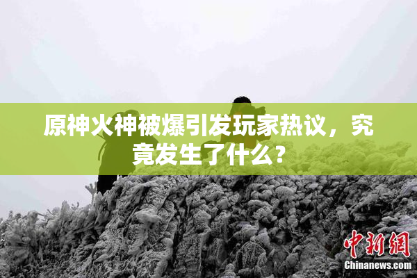 原神火神被爆引发玩家热议，究竟发生了什么？