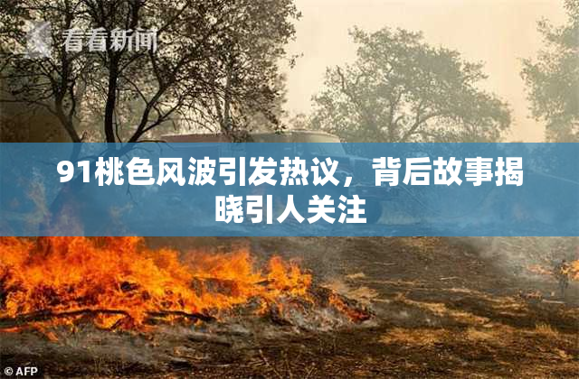 91桃色风波引发热议，背后故事揭晓引人关注