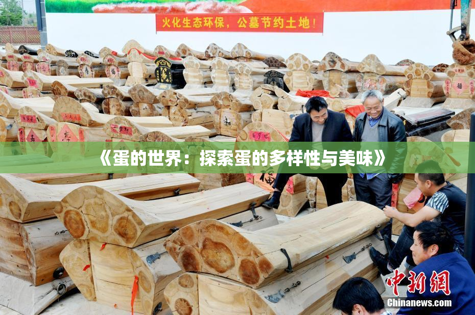 《蛋的世界：探索蛋的多样性与美味》