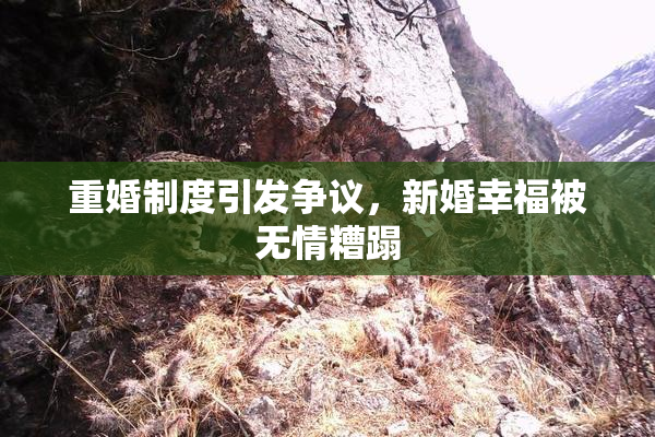 重婚制度引发争议，新婚幸福被无情糟蹋