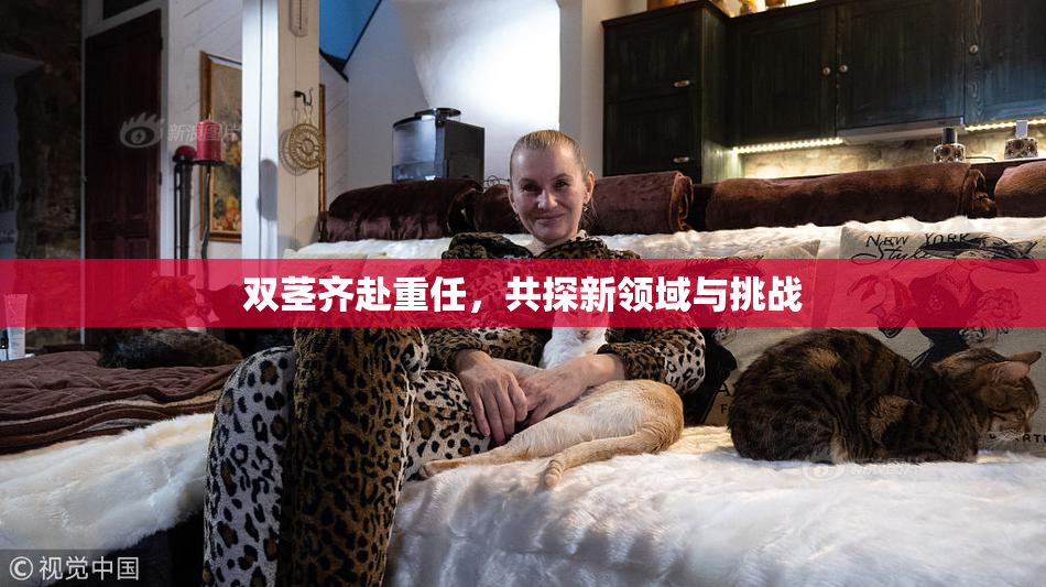 双茎齐赴重任，共探新领域与挑战