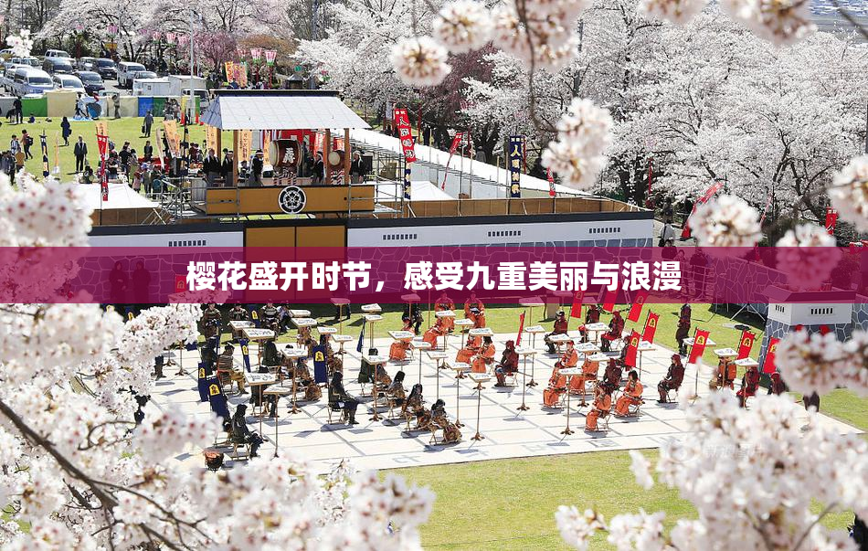 樱花盛开时节，感受九重美丽与浪漫
