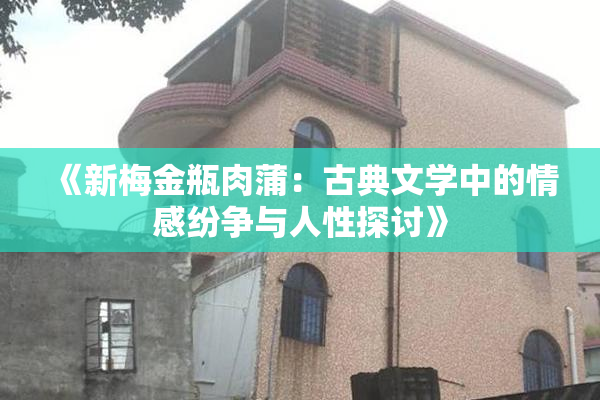 《新梅金瓶肉蒲：古典文学中的情感纷争与人性探讨》