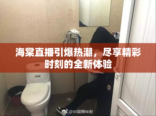 海棠直播引爆热潮，尽享精彩时刻的全新体验