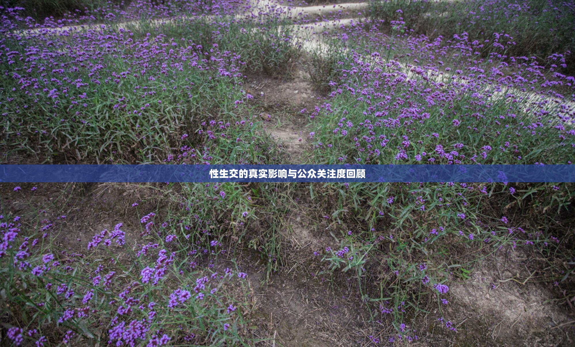 性生交的真实影响与公众关注度回顾