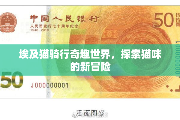 埃及猫骑行奇趣世界，探索猫咪的新冒险