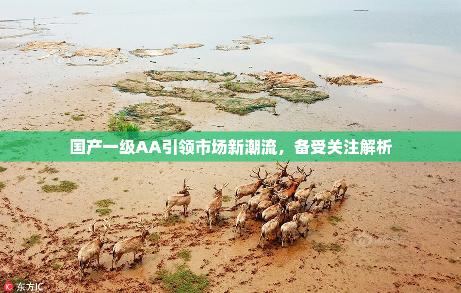 国产一级AA引领市场新潮流，备受关注解析