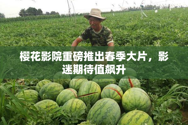 樱花影院重磅推出春季大片，影迷期待值飙升