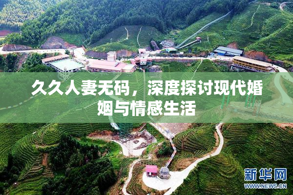 久久人妻无码，深度探讨现代婚姻与情感生活