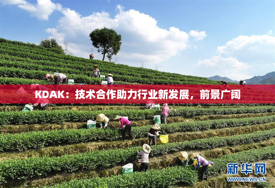 KDAK：技术合作助力行业新发展，前景广阔