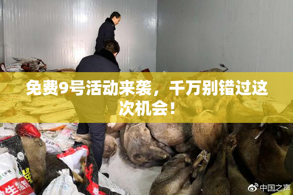 免费9号活动来袭，千万别错过这次机会！