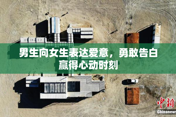 男生向女生表达爱意，勇敢告白赢得心动时刻