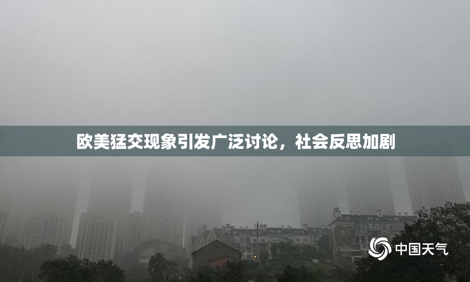欧美猛交现象引发广泛讨论，社会反思加剧