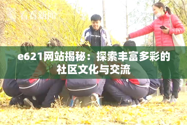 e621网站揭秘：探索丰富多彩的社区文化与交流