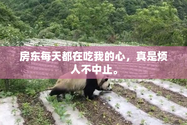 房东每天都在吃我的心，真是烦人不中止。