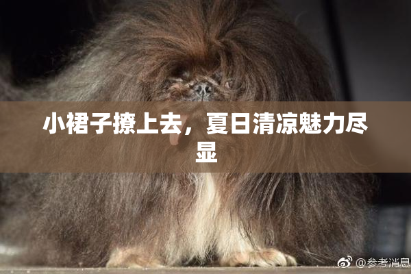 小裙子撩上去，夏日清凉魅力尽显