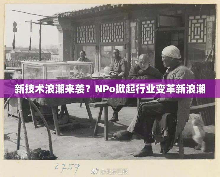 新技术浪潮来袭？ΝPo掀起行业变革新浪潮