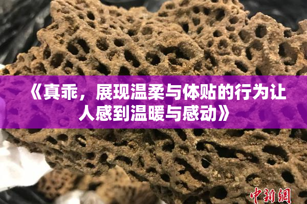 《真乖，展现温柔与体贴的行为让人感到温暖与感动》