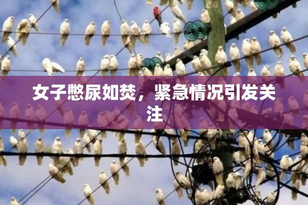 女子憋尿如焚，紧急情况引发关注