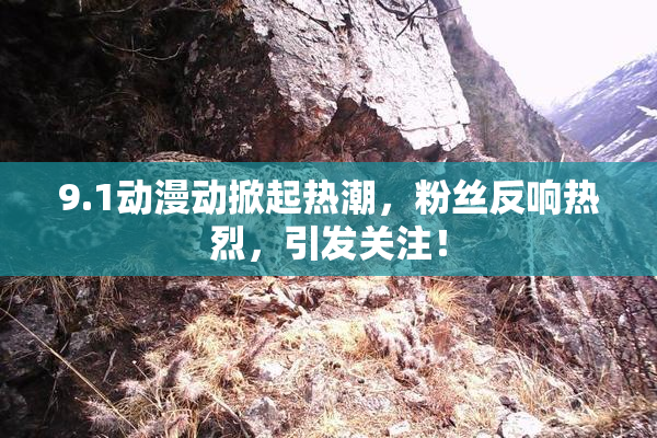 9.1动漫动掀起热潮，粉丝反响热烈，引发关注！