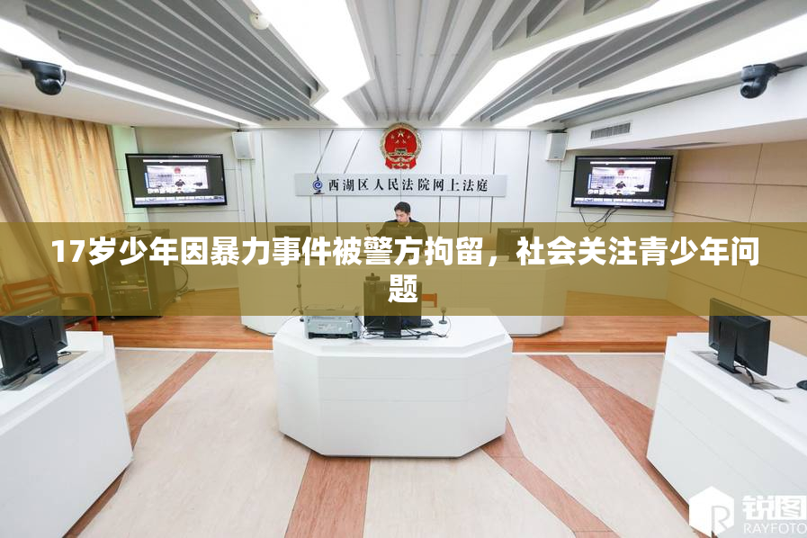 17岁少年因暴力事件被警方拘留，社会关注青少年问题
