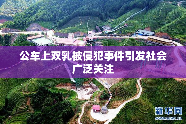 公车上双乳被侵犯事件引发社会广泛关注