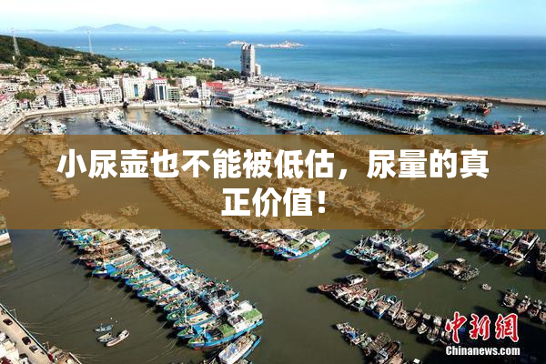 小尿壶也不能被低估，尿量的真正价值！