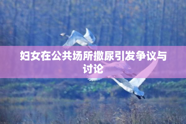 妇女在公共场所撒尿引发争议与讨论