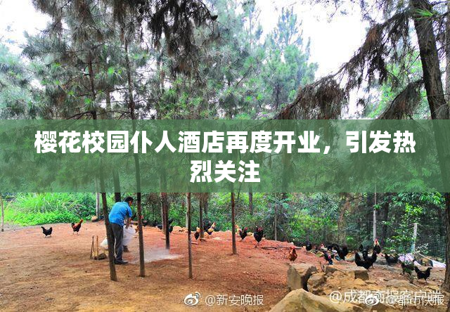 樱花校园仆人酒店再度开业，引发热烈关注