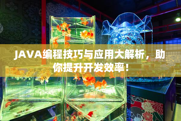 JAVA编程技巧与应用大解析，助你提升开发效率！