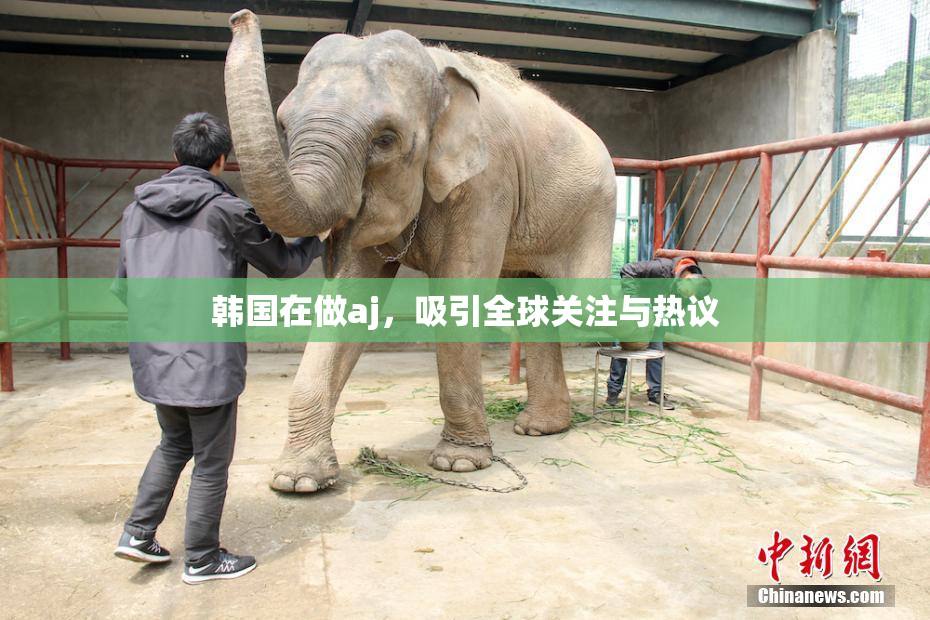 韩国在做aj，吸引全球关注与热议