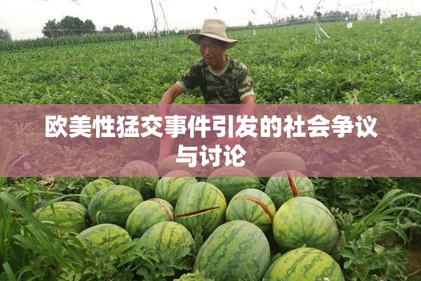 欧美性猛交事件引发的社会争议与讨论