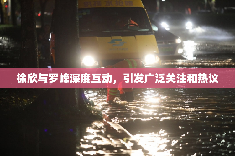 徐欣与罗峰深度互动，引发广泛关注和热议