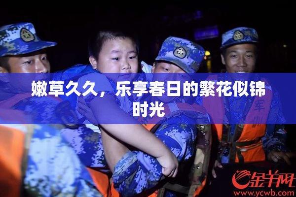 嫩草久久，乐享春日的繁花似锦时光
