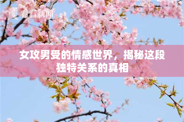 女攻男受的情感世界，揭秘这段独特关系的真相