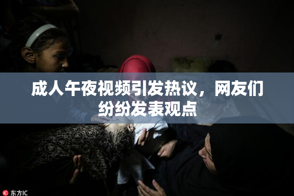 成人午夜视频引发热议，网友们纷纷发表观点