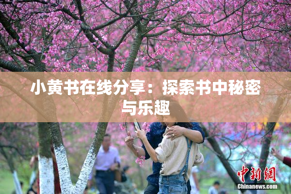 小黄书在线分享：探索书中秘密与乐趣