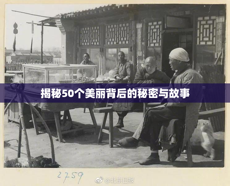 揭秘50个美丽背后的秘密与故事