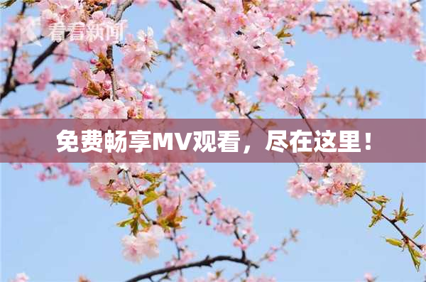 免费畅享MV观看，尽在这里！