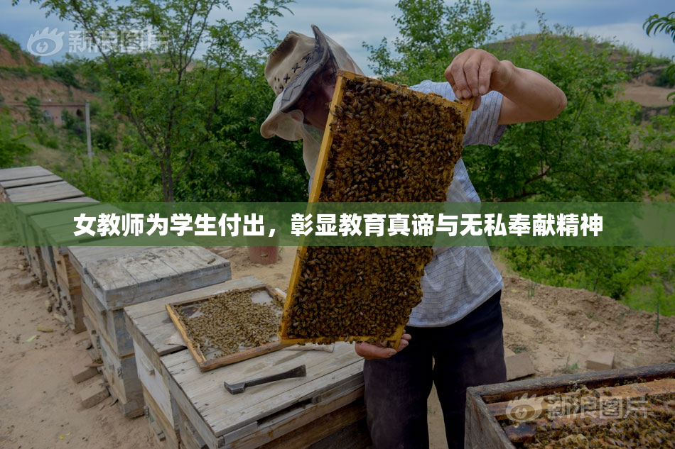 女教师为学生付出，彰显教育真谛与无私奉献精神