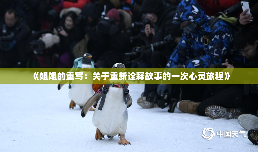 《姐姐的重写：关于重新诠释故事的一次心灵旅程》