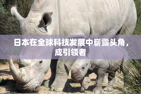 日本在全球科技发展中崭露头角，成引领者