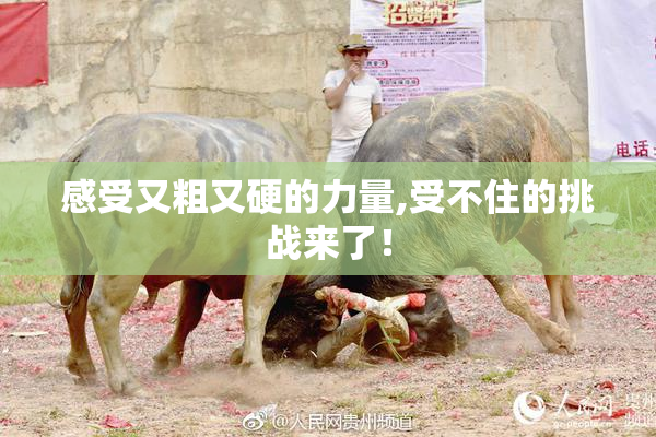感受又粗又硬的力量,受不住的挑战来了！