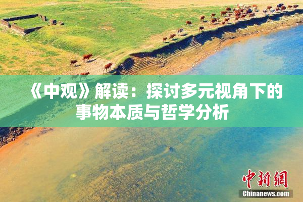 《中观》解读：探讨多元视角下的事物本质与哲学分析