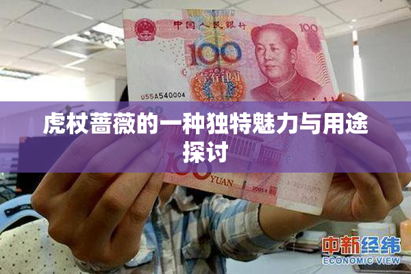虎杖蔷薇的一种独特魅力与用途探讨