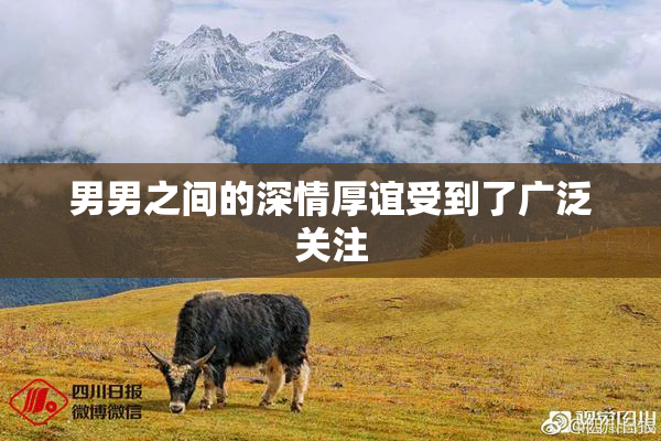 男男之间的深情厚谊受到了广泛关注
